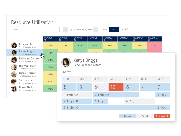 Microsoft Dynamics 365 Proje Yöneticisi Microsoft Dynamics 365 Proje Yöneticisi